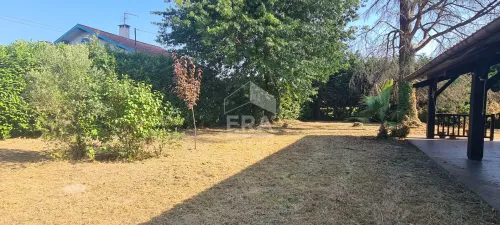 Photo 3 bien ref2099